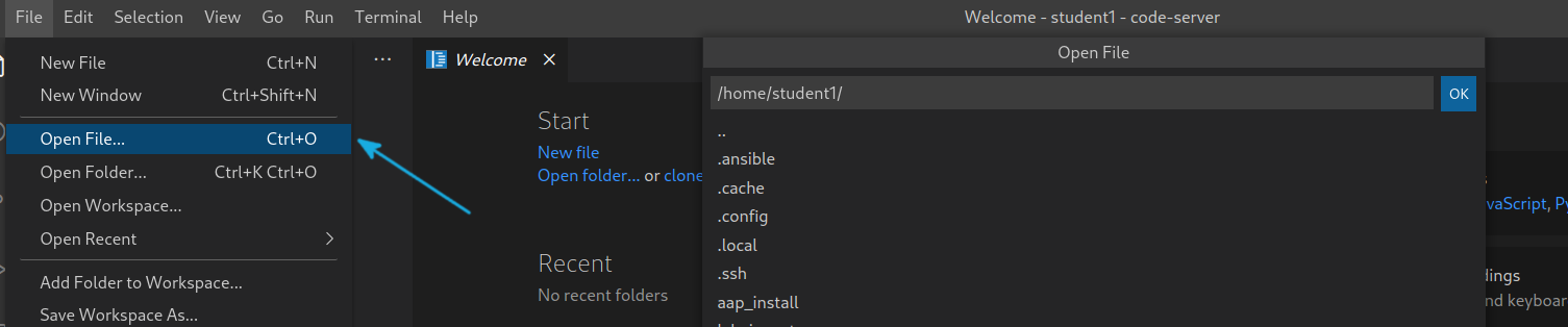 VS Code - VS Code file picker